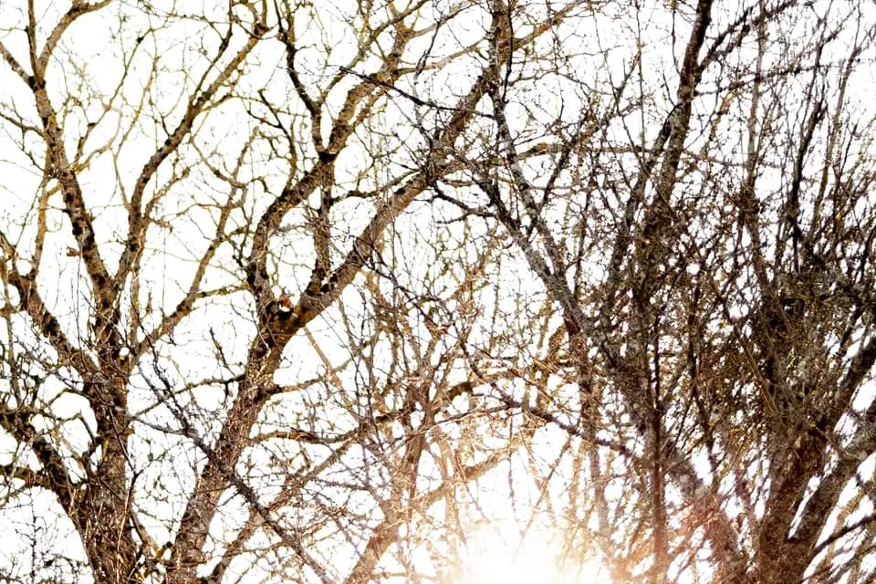 Julien Hugo — photo 7