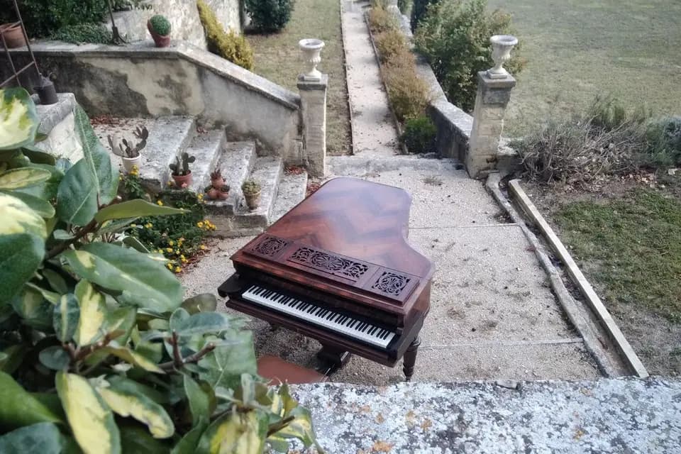 Dany Jazz — photo 3