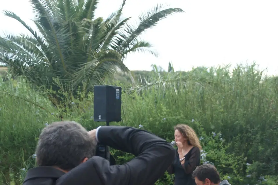 Summer Jazz — photo 4