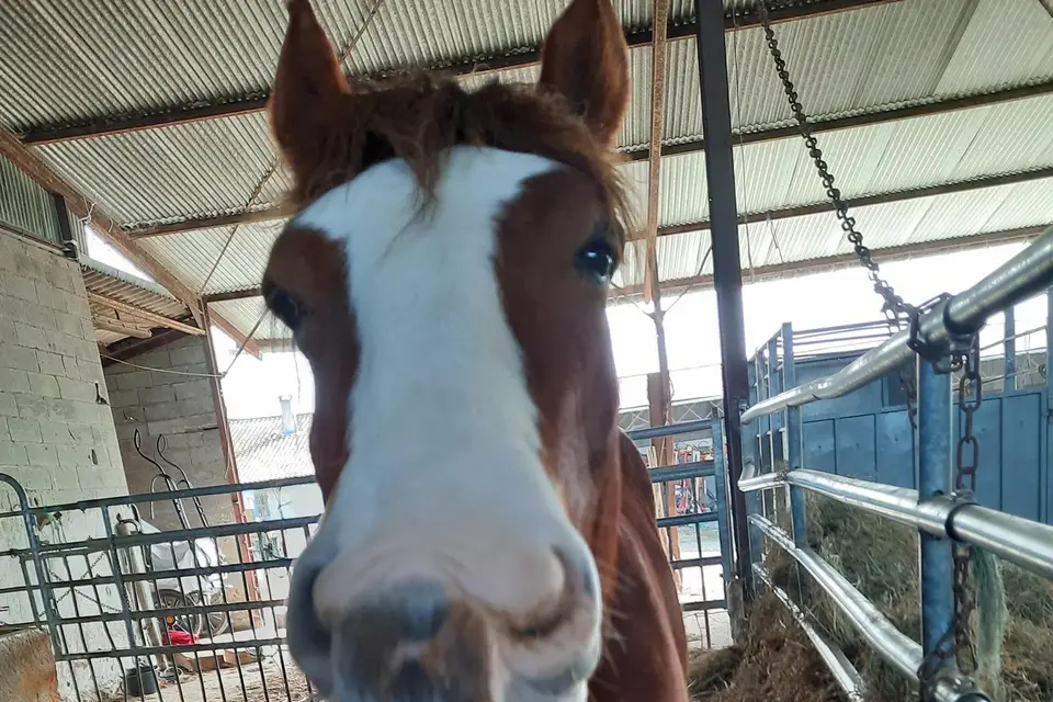 La Dompierroise — photo 5