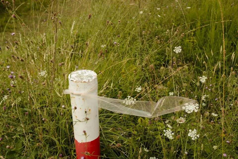 Graines de Femme — photo 8