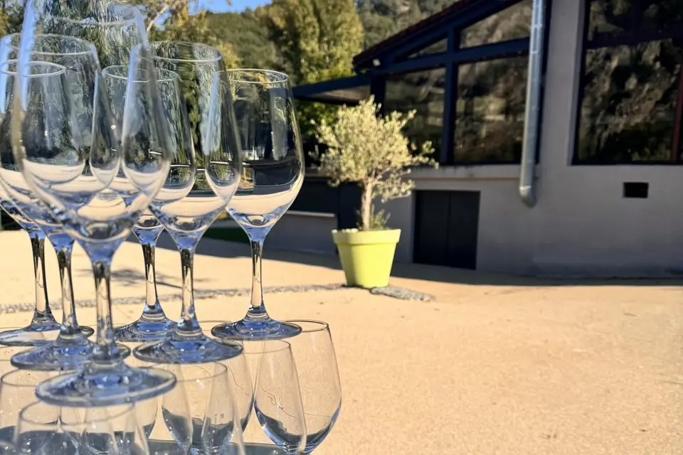 Domaine du Moulin — photo 1