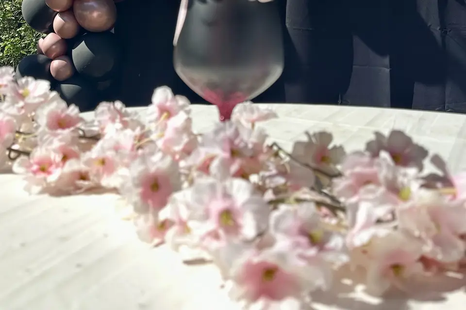 Couleurs Confettis — photo 4