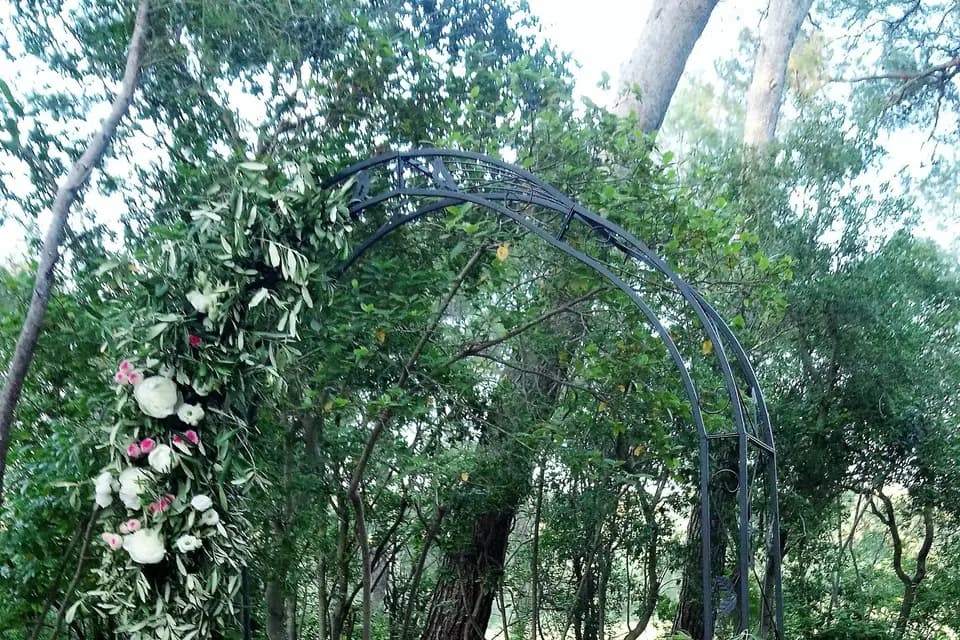 Et Tant de Fleurs — photo 7