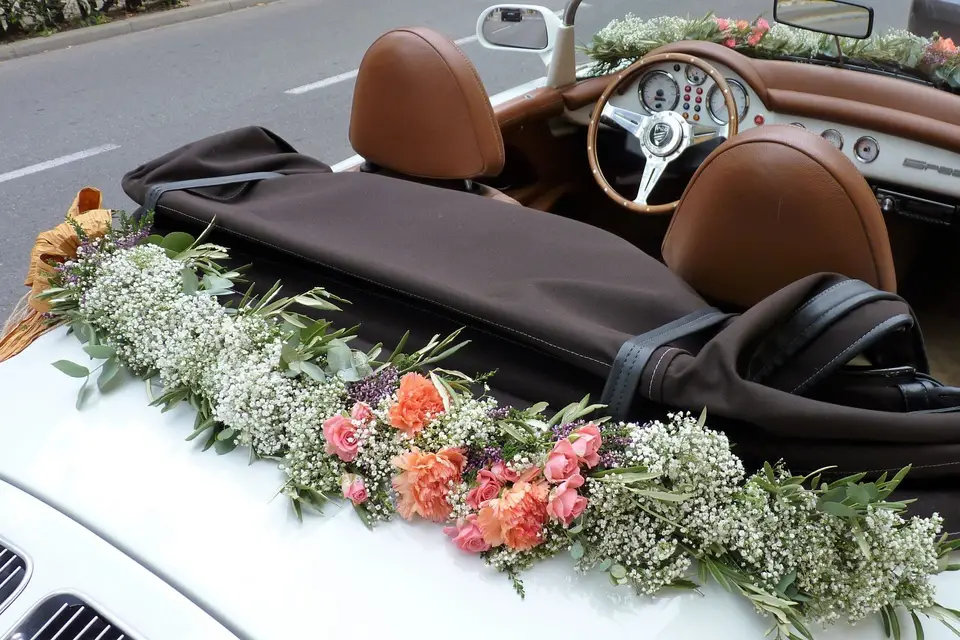 Et Tant de Fleurs — photo 6