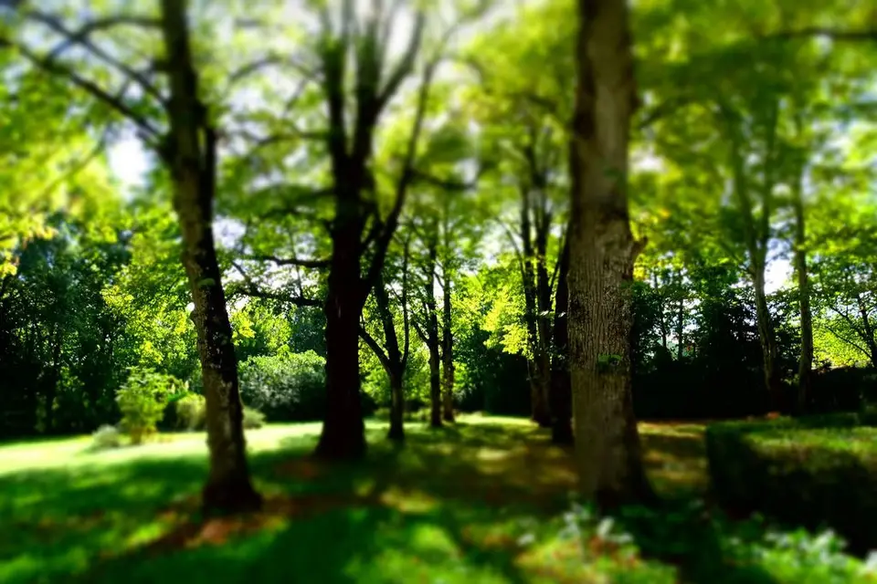 Domaine Del'Luz — photo 6