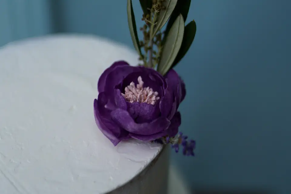 Verveine et Basilic — photo 3