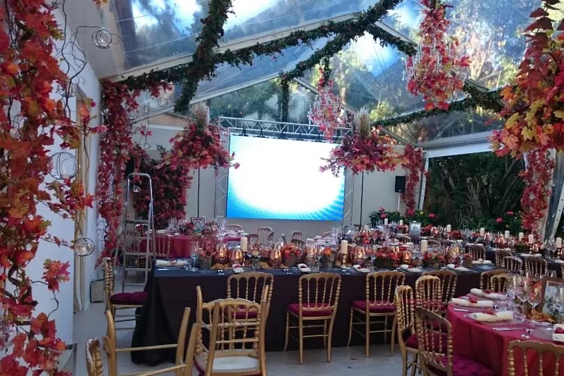 Extension — photo 7