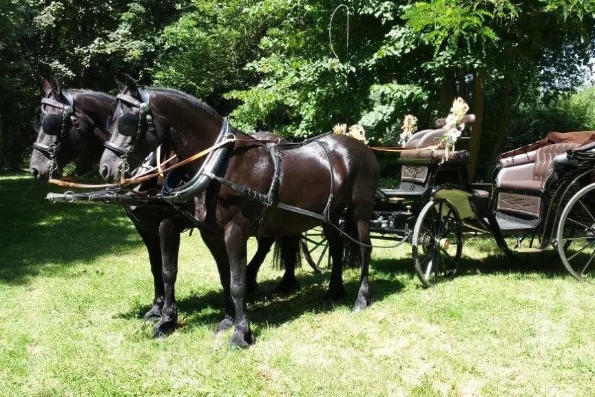 Attelages des Trois Vallées — photo 1