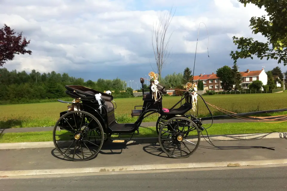 Attelages des Trois Vallées — photo 2