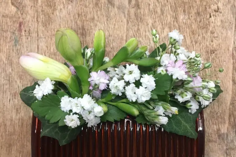 Les Serres Caladoises — photo 5