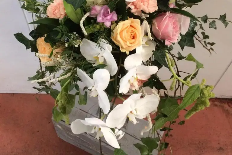 Les Serres Caladoises — photo 6