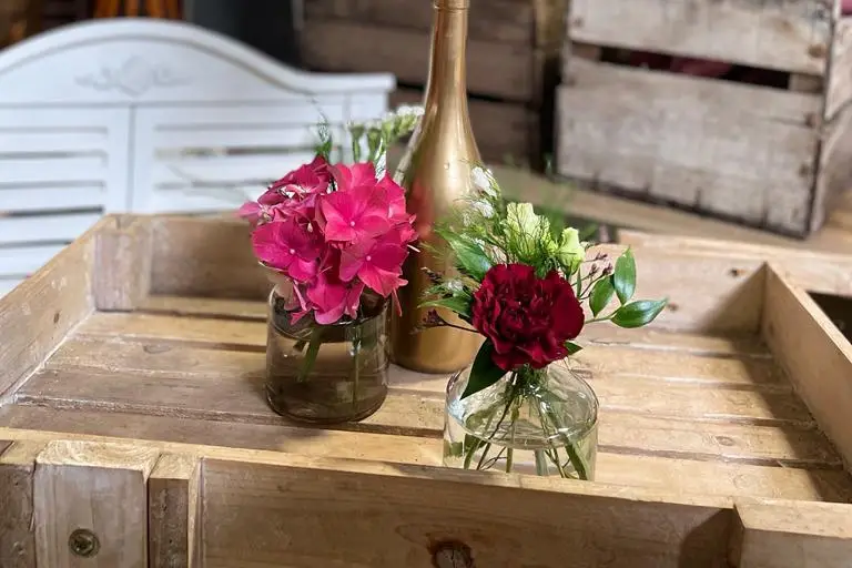 Les Serres Caladoises — photo 7