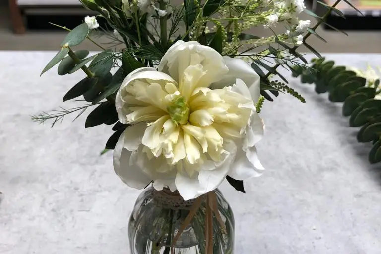 Les Serres Caladoises — photo 8