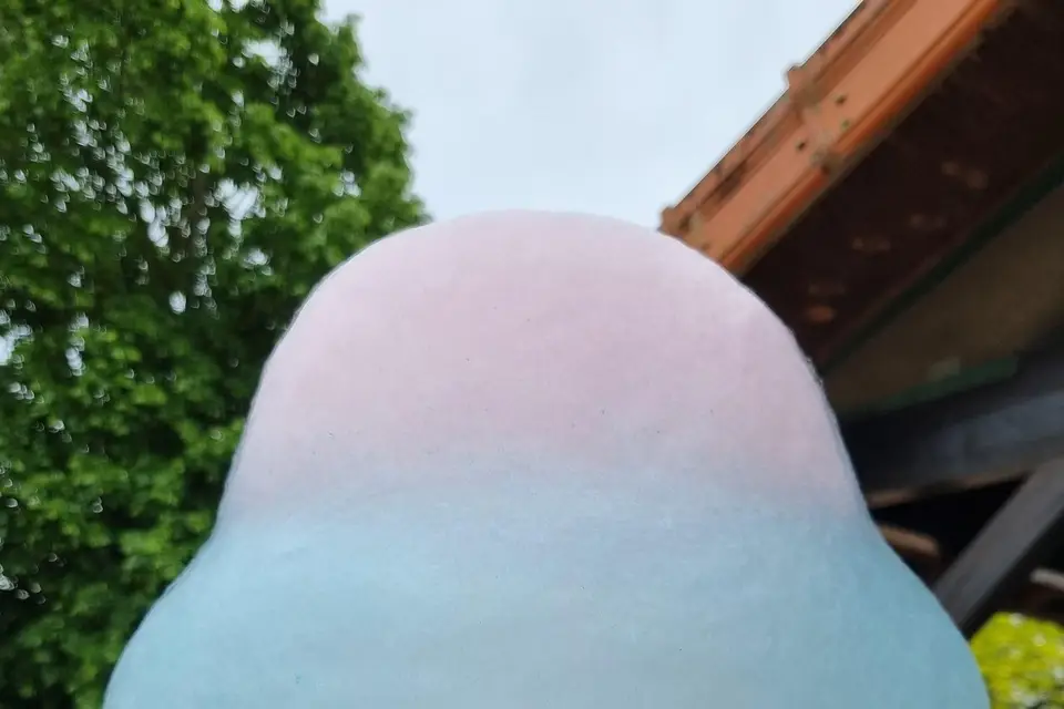 Iceflower — photo 6