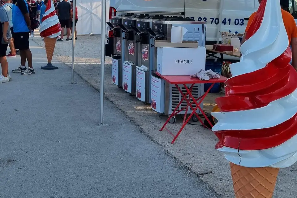 Iceflower — photo 5