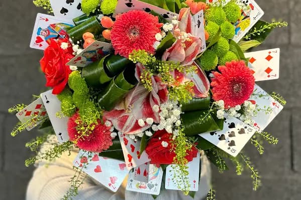 Orchidya — photo 8