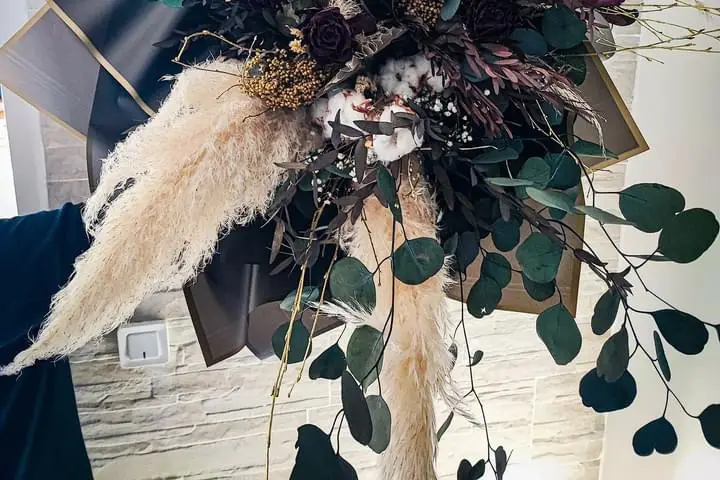 Orchidya — photo 2