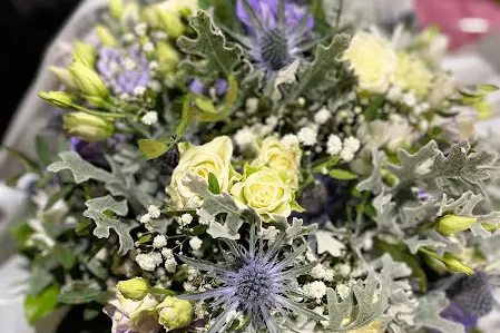 Orchidya — photo 3