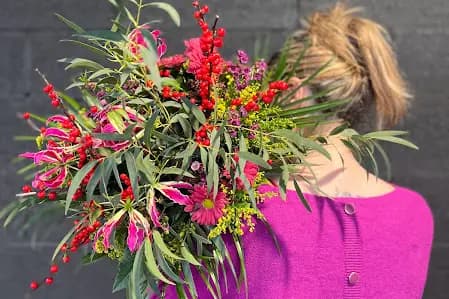 Orchidya — photo 1