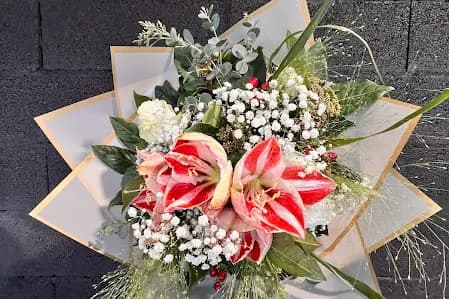 Orchidya — photo 6