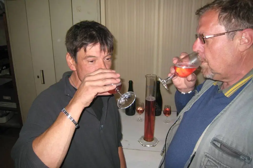 Champagne Régis Emery — photo 5