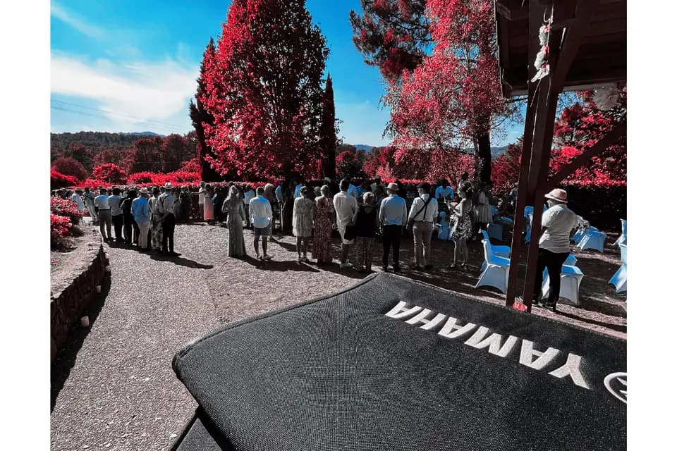 MGK Events — photo 6