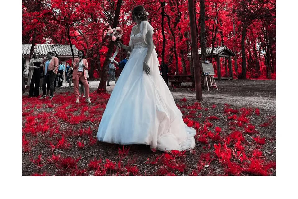 MGK Events — photo 3