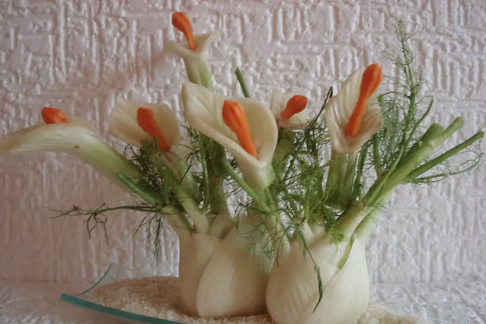 Fruit's Art — photo 4