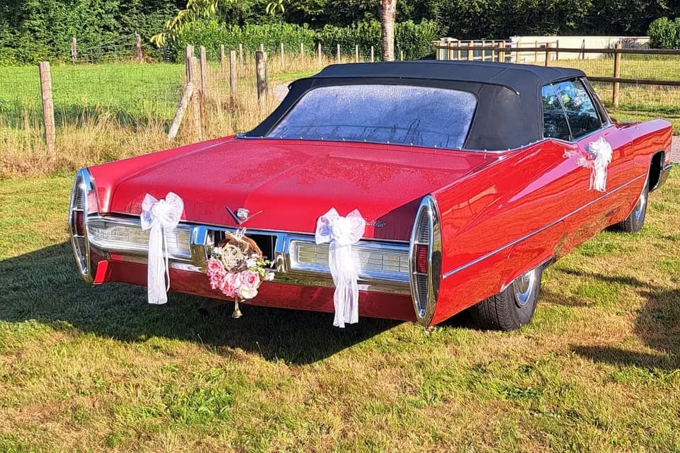 CEL Auto — photo 2