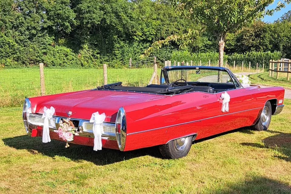 CEL Auto — photo 1