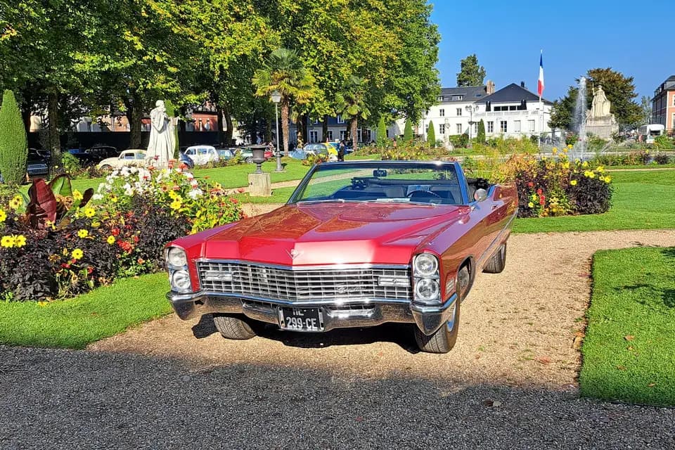 CEL Auto — photo 4