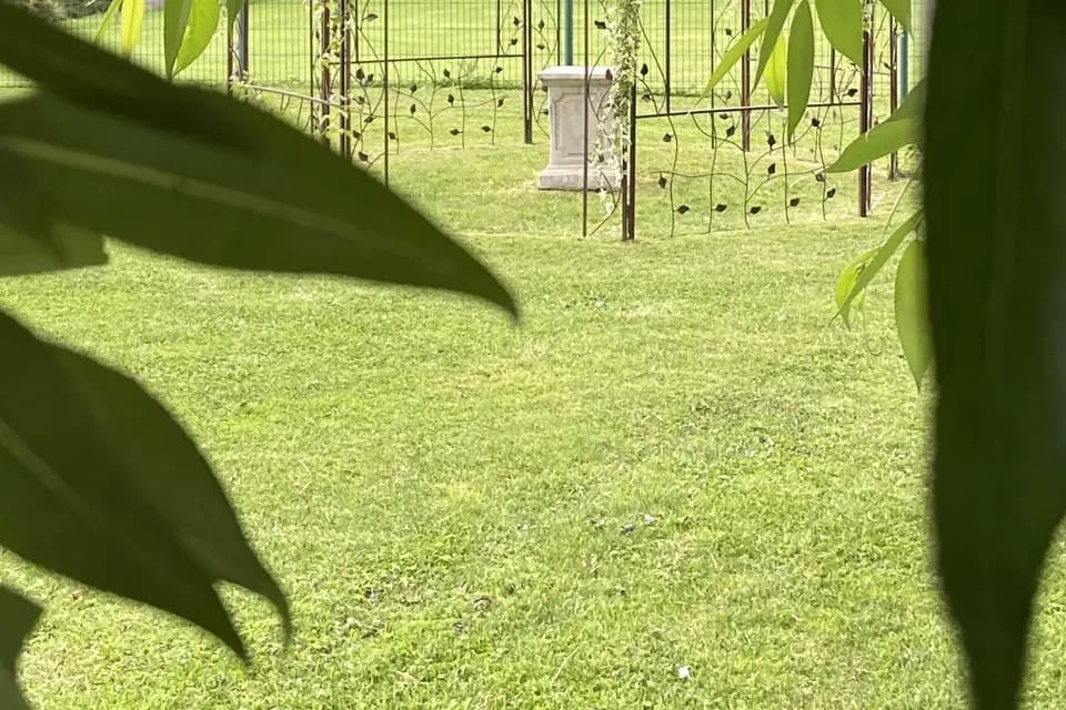 Domaine de Voisenon — photo 8