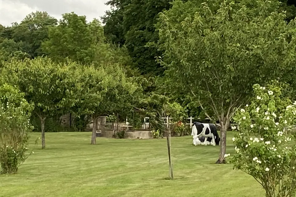 Domaine de Voisenon — photo 2