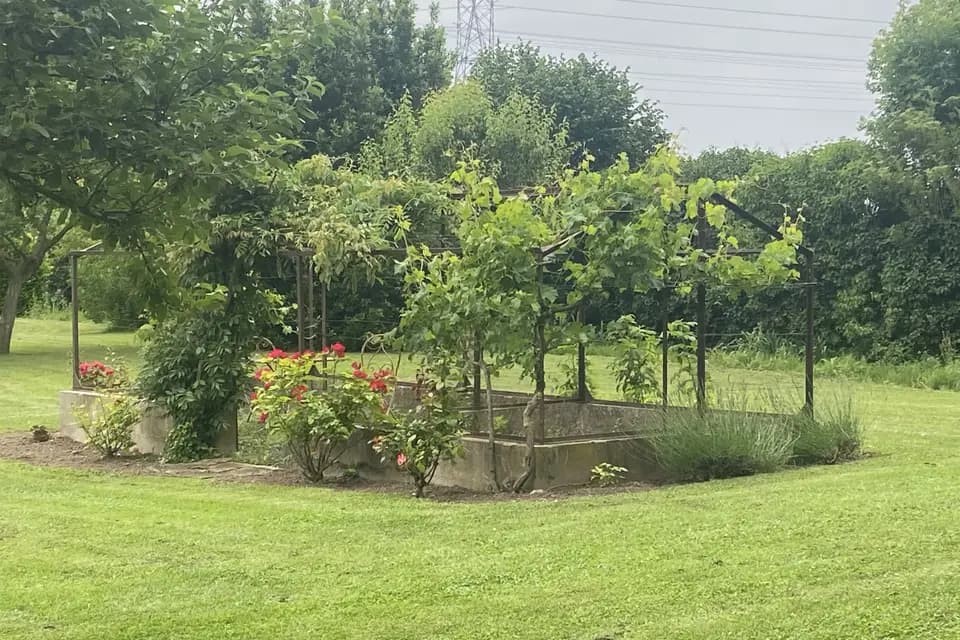 Domaine de Voisenon — photo 3