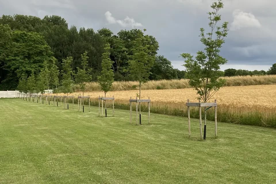 Domaine de Voisenon — photo 4