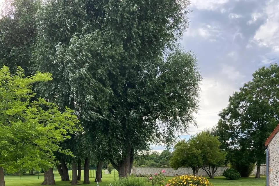 Domaine de Voisenon — photo 5