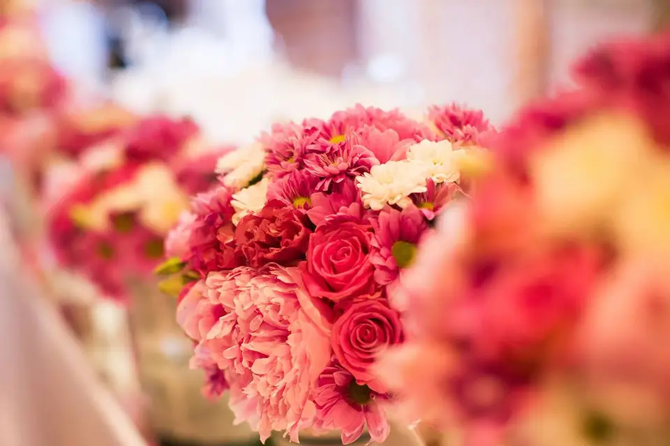 La Quinta — photo 4