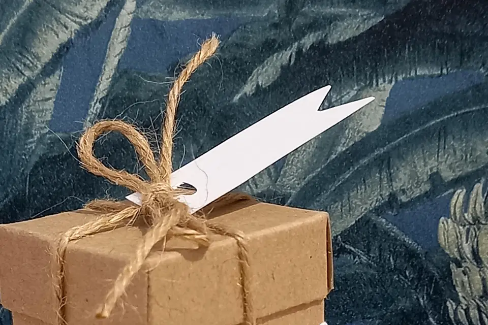 Le Festival de la Dragée — photo 6