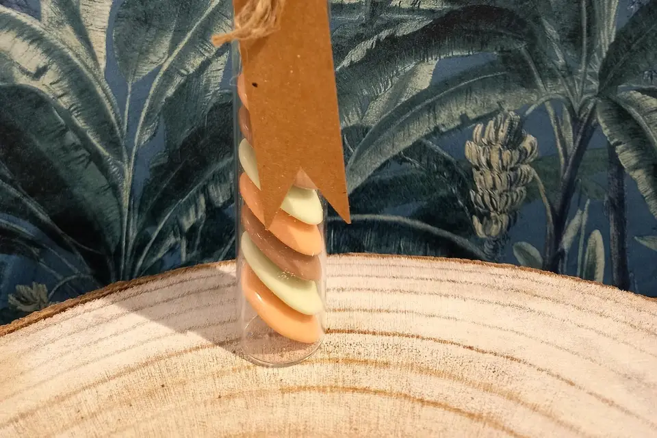 Le Festival de la Dragée — photo 4