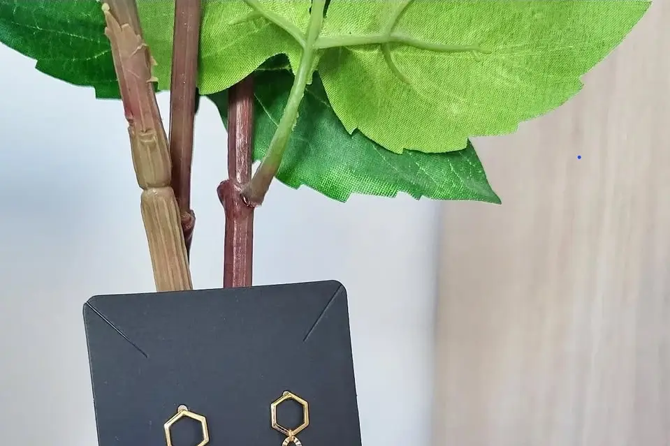 Bijoriane — photo 5