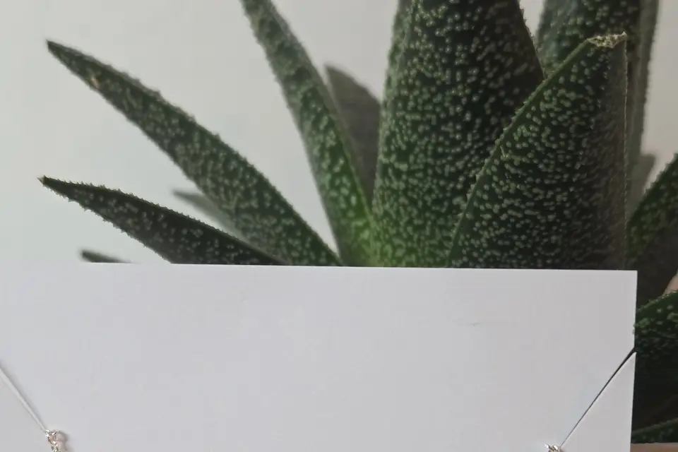 Bijoriane — photo 7