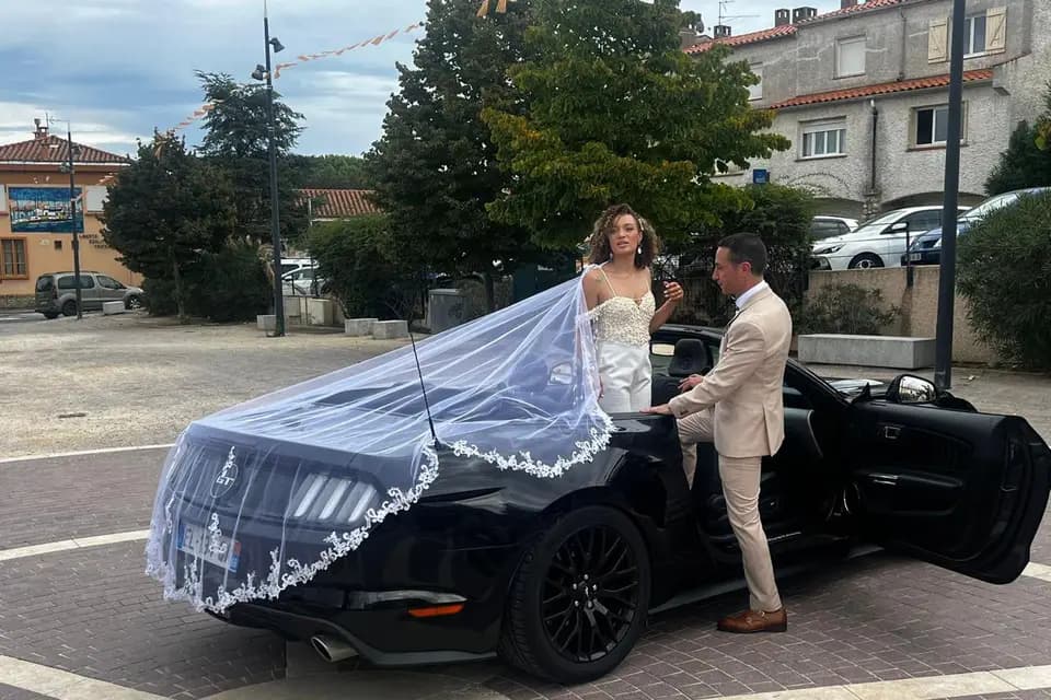 Sandyan Horse — photo 6