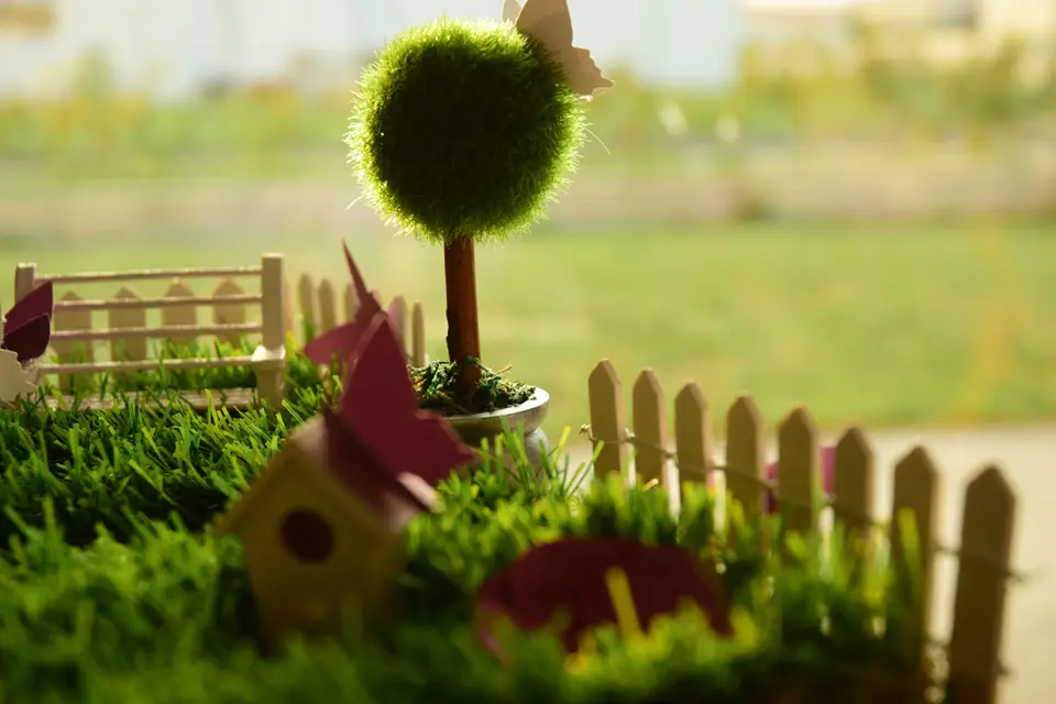 Lily-Factory — photo 4