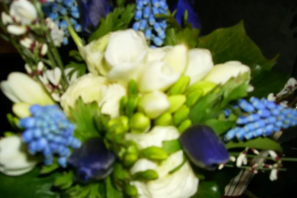 Annick kontler Atelier Végétal — photo 2