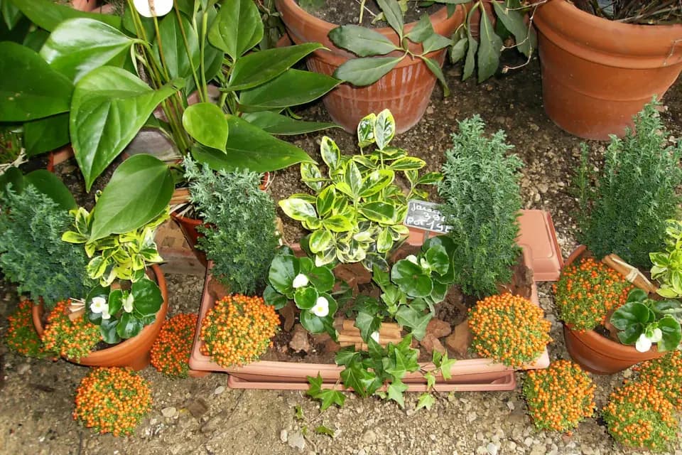 Annick kontler Atelier Végétal — photo 7