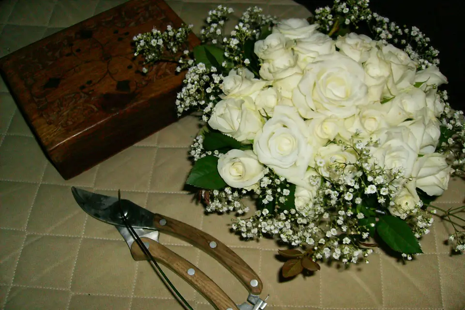 Annick kontler Atelier Végétal — photo 5