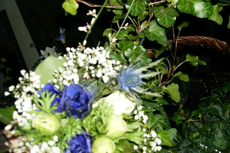 Annick kontler Atelier Végétal — photo 3