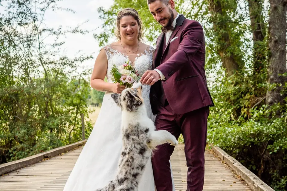 Nau Sébastien — photo 3