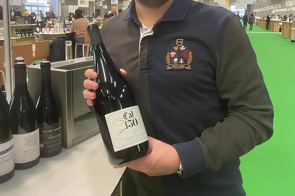 Wines for Events — photo 2